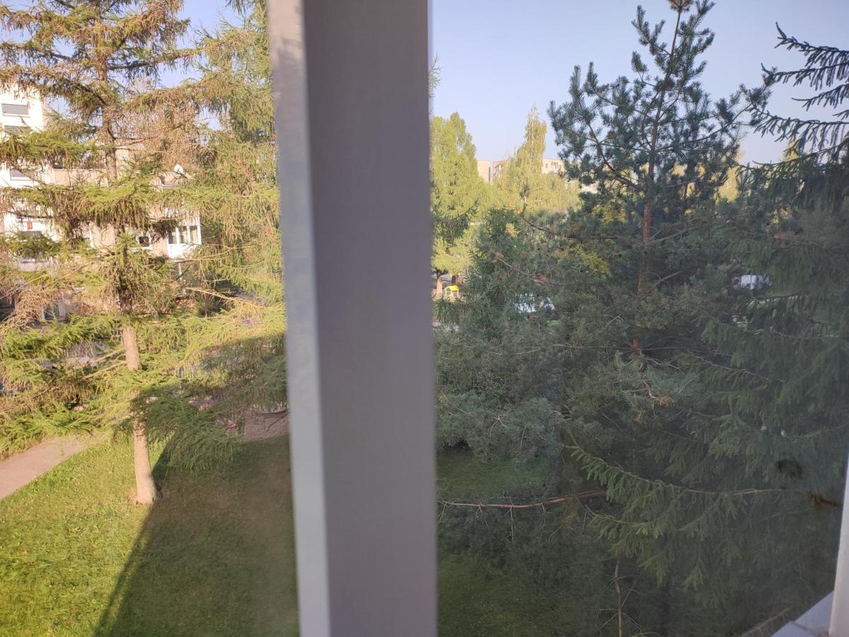 Shortstoppasilaiciai Vilnius Bagian luar foto